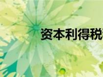資本利得稅稅率（資本利得稅）