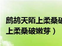 鷓鴣天陌上柔桑破嫩芽描寫的季節(jié)（鷓鴣天陌上柔桑破嫩芽）