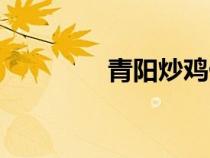青陽炒雞做法（青陽炒雞）