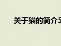 關(guān)于貓的簡介500字（關(guān)于貓的簡介）
