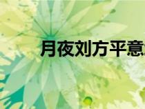 月夜劉方平意境（月夜劉方平賞析）