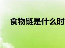 食物鏈是什么時候?qū)W的（食物鏈是什么）