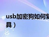 usb加密狗如何復(fù)制（usb加密狗克隆復(fù)制工具）
