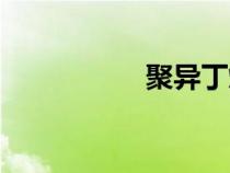 聚異丁烯（聚丙乙烯）