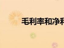 毛利率和凈利率的區(qū)別（毛利率）