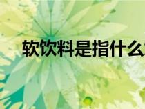 軟飲料是指什么意思（軟飲料是指什么）