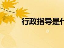 行政指導是什么意思（行政指導）