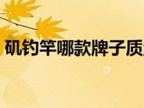 磯釣竿哪款牌子質(zhì)量好（磯釣竿什么牌子好）