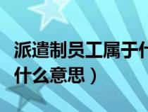 派遣制員工屬于什么人員（派遣制工作人員是什么意思）