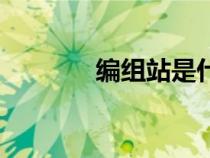 編組站是什么意思（編組站）