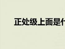 正處級(jí)上面是什么級(jí)別干部（正處級(jí)）