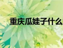 重慶瓜娃子什么意思(瓜娃子什么意思) 重慶瓜娃子什么意思(瓜娃子什么意思)
