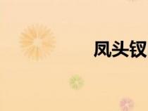 鳳頭釵圖片（鳳頭釵）