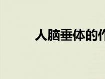 人腦垂體的作用（腦垂體的作用）