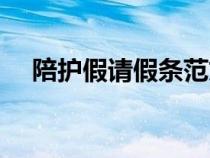 陪護假請假條范文合集（陪護假請假條）