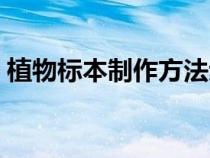 植物標(biāo)本制作方法步驟(植物標(biāo)本制作方法) 植物標(biāo)本制作方法步驟(植物標(biāo)本制作方法)