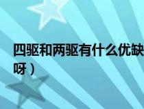 四驅(qū)和兩驅(qū)有什么優(yōu)缺點(diǎn)呀圖片(四驅(qū)和兩驅(qū)有什么優(yōu)缺點(diǎn)呀) 四驅(qū)和兩驅(qū)有什么優(yōu)缺點(diǎn)呀圖片(四驅(qū)和兩驅(qū)有什么優(yōu)缺點(diǎn)呀)