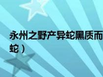 永州之野產異蛇黑質而白章觸草木盡死翻譯（永州之野產異蛇）