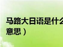馬路大日語是什么意思?。R路大日語是什么意思）