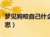夢(mèng)見(jiàn)狗咬自己什么預(yù)兆(夢(mèng)見(jiàn)被狗咬是什么意思) 夢(mèng)見(jiàn)狗咬自己什么預(yù)兆(夢(mèng)見(jiàn)被狗咬是什么意思)