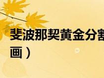 斐波那契黃金分割線怎么畫(黃金分割線怎么畫) 斐波那契黃金分割線怎么畫(黃金分割線怎么畫)