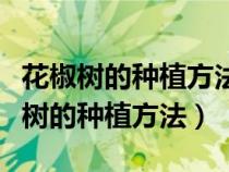 花椒樹的種植方法及管理技術(shù)視頻教程(花椒樹的種植方法) 花椒樹的種植方法及管理技術(shù)視頻教程(花椒樹的種植方法)