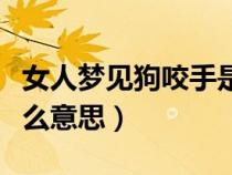 女人夢(mèng)見(jiàn)狗咬手是什么預(yù)兆（夢(mèng)見(jiàn)被狗咬是什么意思）