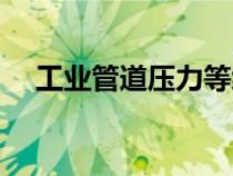 工業(yè)管道壓力等級劃分（壓力等級劃分）