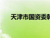 天津市國資委韓云翔（天津市國資委）