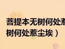 菩提本無樹何處惹塵埃本來無一物（菩提本無樹何處惹塵埃）