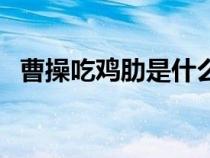 曹操吃雞肋是什么意思（雞肋是什么意思）