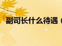 副司長什么待遇（副司長是什么行政級別）