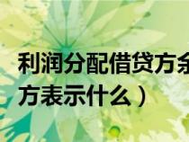 利潤(rùn)分配借貸方余額表示什么（利潤(rùn)分配借貸方表示什么）