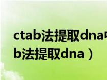 ctab法提取dna中氯仿和異戊醇的作用（ctab法提取dna）