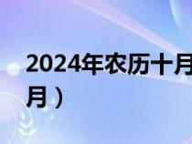 2024年農(nóng)歷十月是什么月（農(nóng)歷十月是什么月）