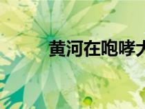 黃河在咆哮大合唱（黃河在咆哮）