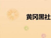 黃岡黑社會(huì)（黃岡黑老大）