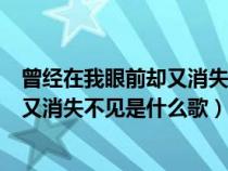 曾經(jīng)在我眼前卻又消失不見女生唱的版本（曾經(jīng)在我眼前卻又消失不見是什么歌）