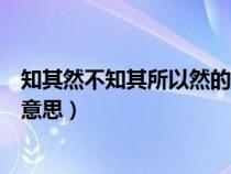 知其然不知其所以然的意思反義詞（知其然不知其所以然的意思）