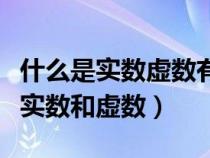 什么是實(shí)數(shù)虛數(shù)有理數(shù)無(wú)理數(shù)的概念(什么是實(shí)數(shù)和虛數(shù)) 什么是實(shí)數(shù)虛數(shù)有理數(shù)無(wú)理數(shù)的概念(什么是實(shí)數(shù)和虛數(shù))