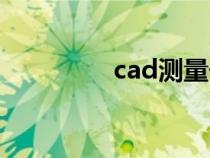 cad測量長度（cad測量）