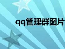 qq管理群圖片頭像大全（qq管理群）