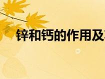 鋅和鈣的作用及功能（鈣的作用及功能）
