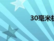 30毫米機關(guān)炮（機關(guān)炮）