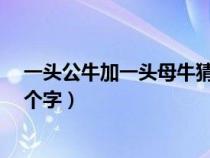 一頭公牛加一頭母牛猜三個(gè)字?(一頭公牛加一頭母牛猜三個(gè)字) 一頭公牛加一頭母牛猜三個(gè)字?(一頭公牛加一頭母牛猜三個(gè)字)