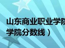山東商業(yè)職業(yè)學(xué)院錄取線(山東商業(yè)職業(yè)技術(shù)學(xué)院分?jǐn)?shù)線) 山東商業(yè)職業(yè)學(xué)院錄取線(山東商業(yè)職業(yè)技術(shù)學(xué)院分?jǐn)?shù)線)