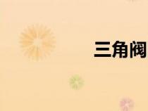 三角閥圖片（三角閥）