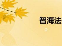 智海法師簡(jiǎn)介（智海）