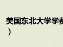 美國東北大學(xué)學(xué)費一年多少錢（美國東北大學(xué)）