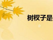 樹杈子是哪個明星（樹杈）